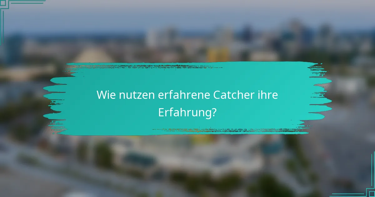 Wie nutzen erfahrene Catcher ihre Erfahrung?